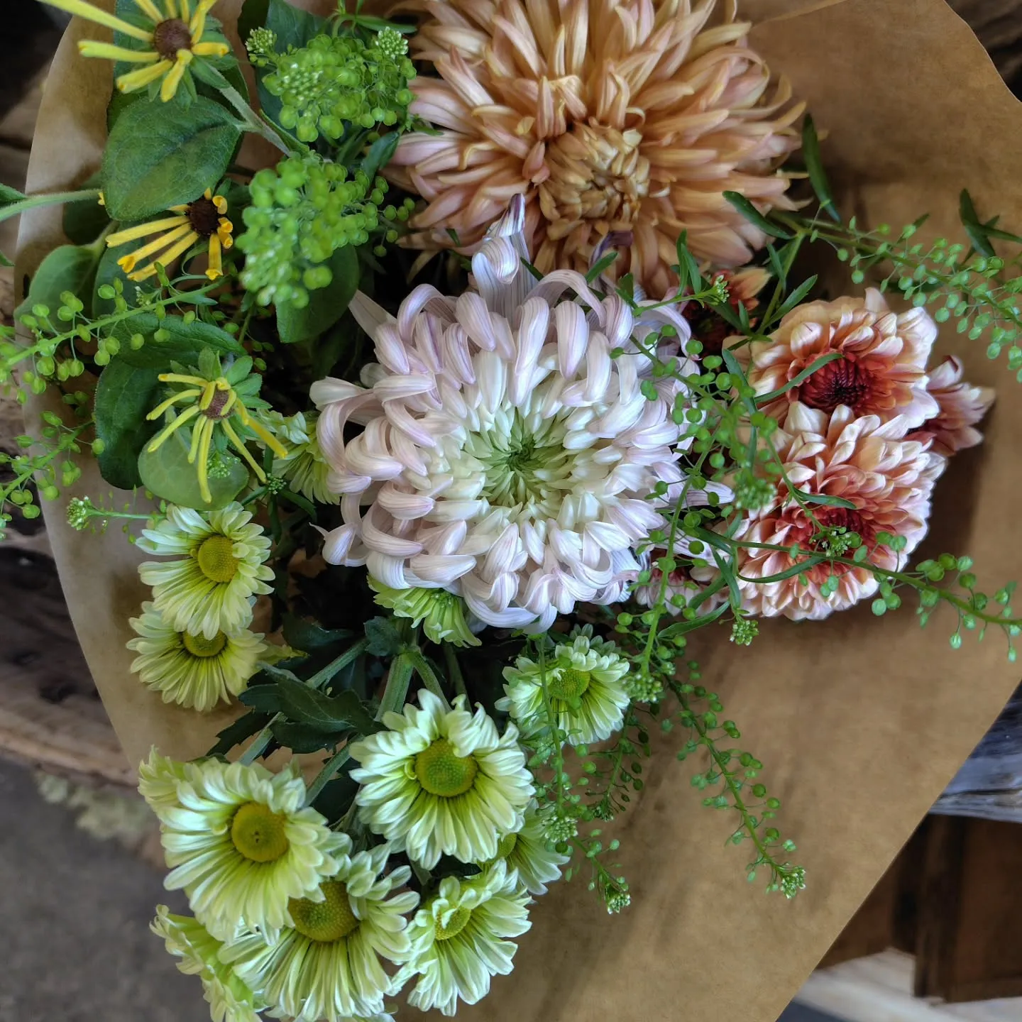 おはようさん🌞