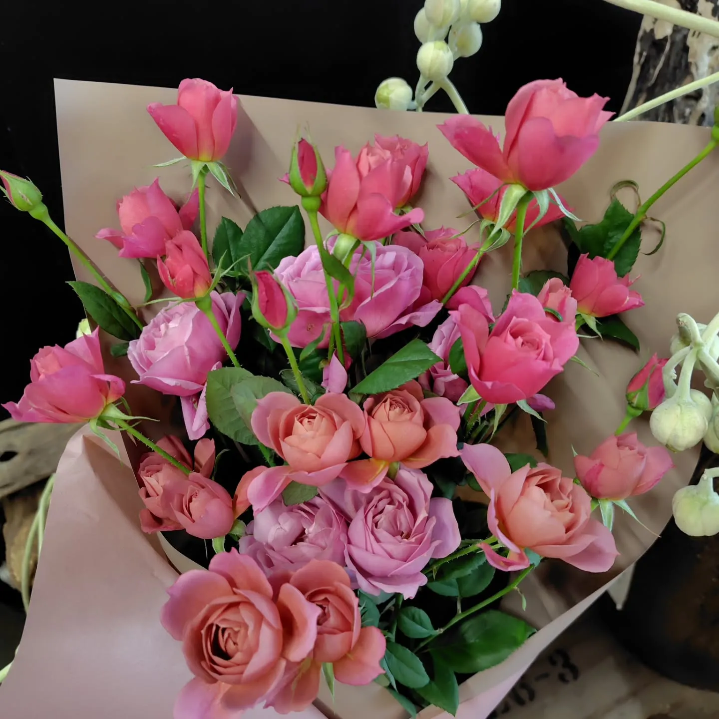 おはようさん🌞