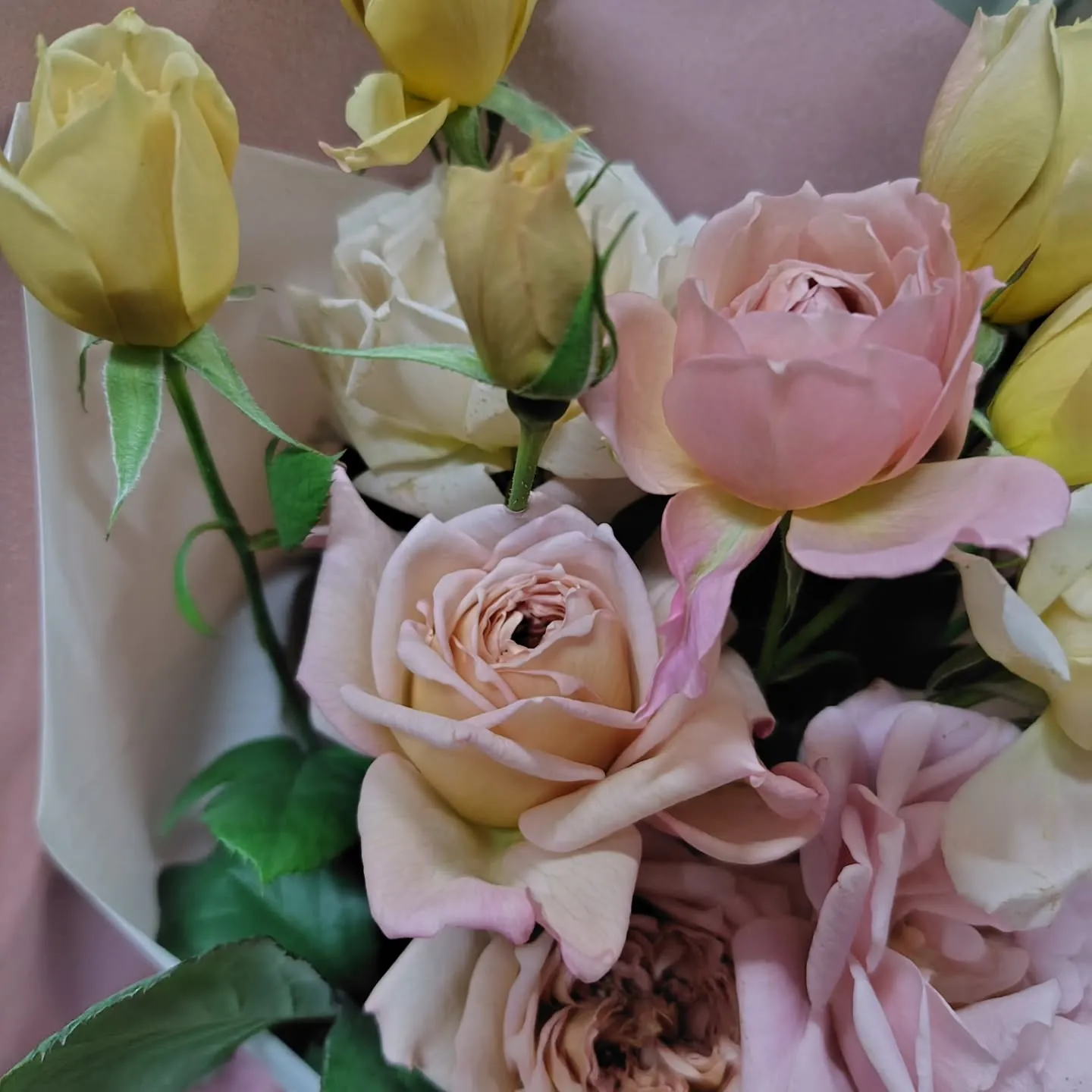 おはようさん🌞