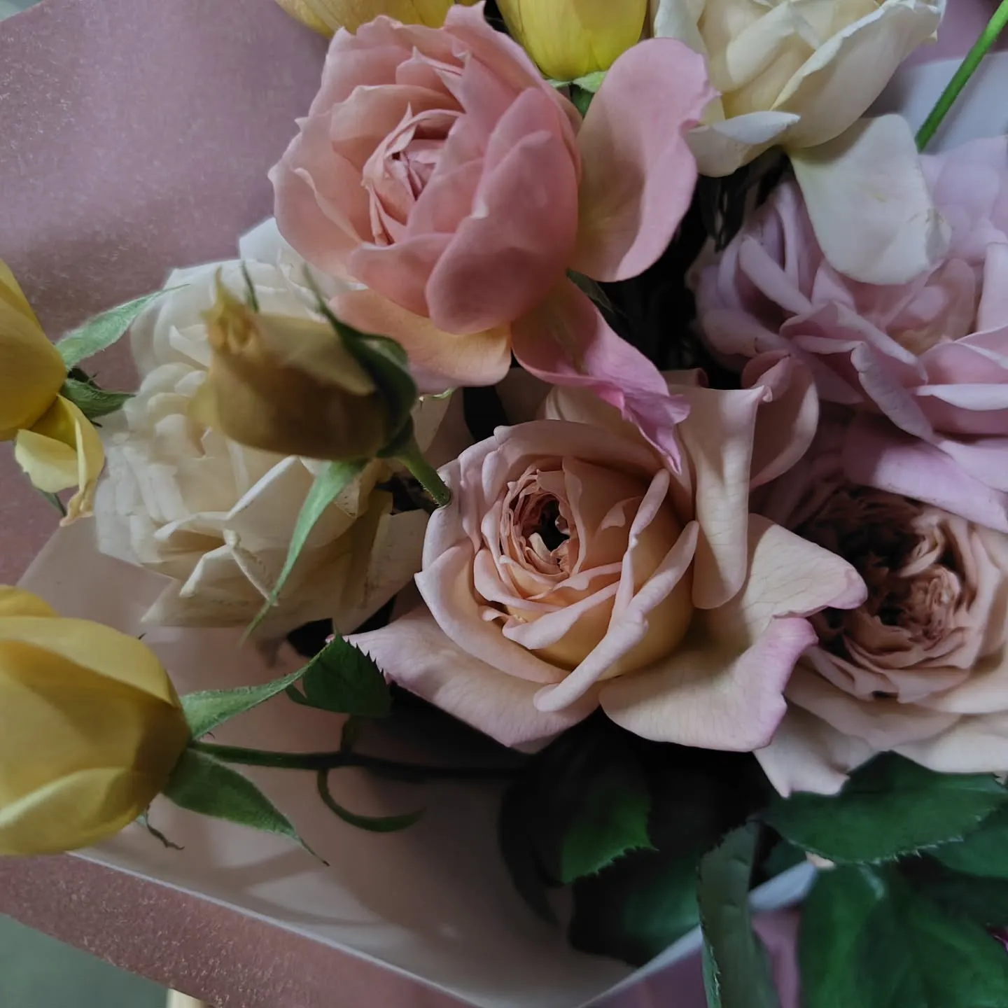 おはようさん🌞