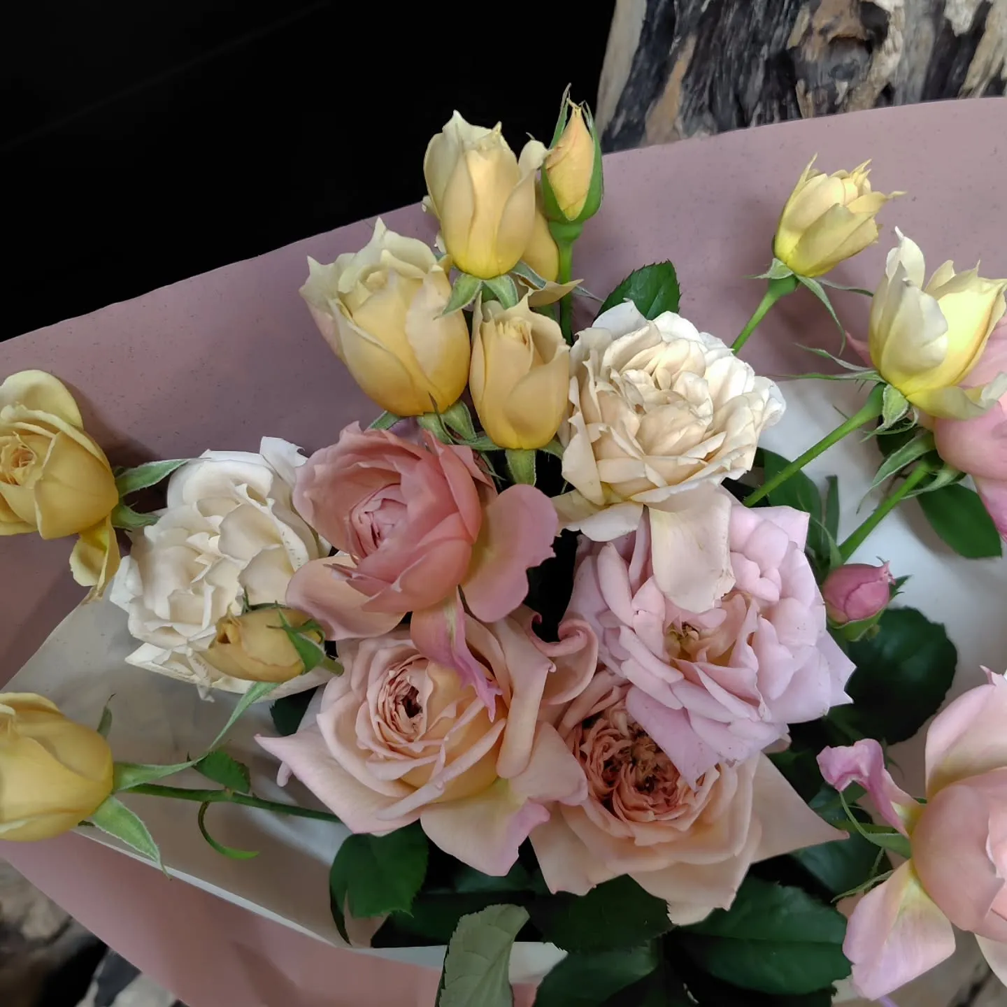 おはようさん🌞