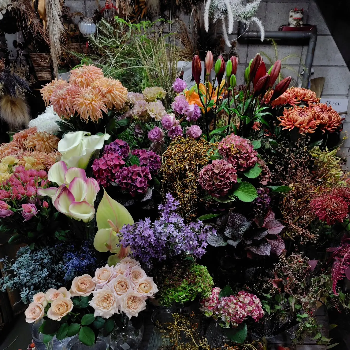 沖縄から色々きてる今日の草🌿