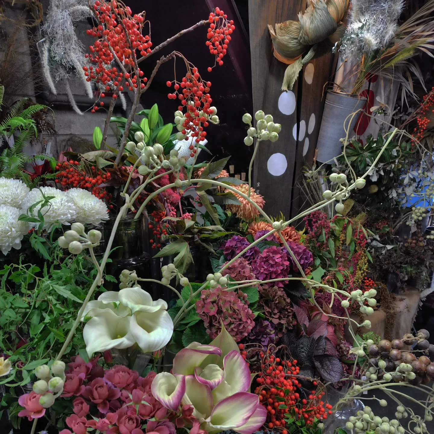 沖縄から色々きてる今日の草🌿