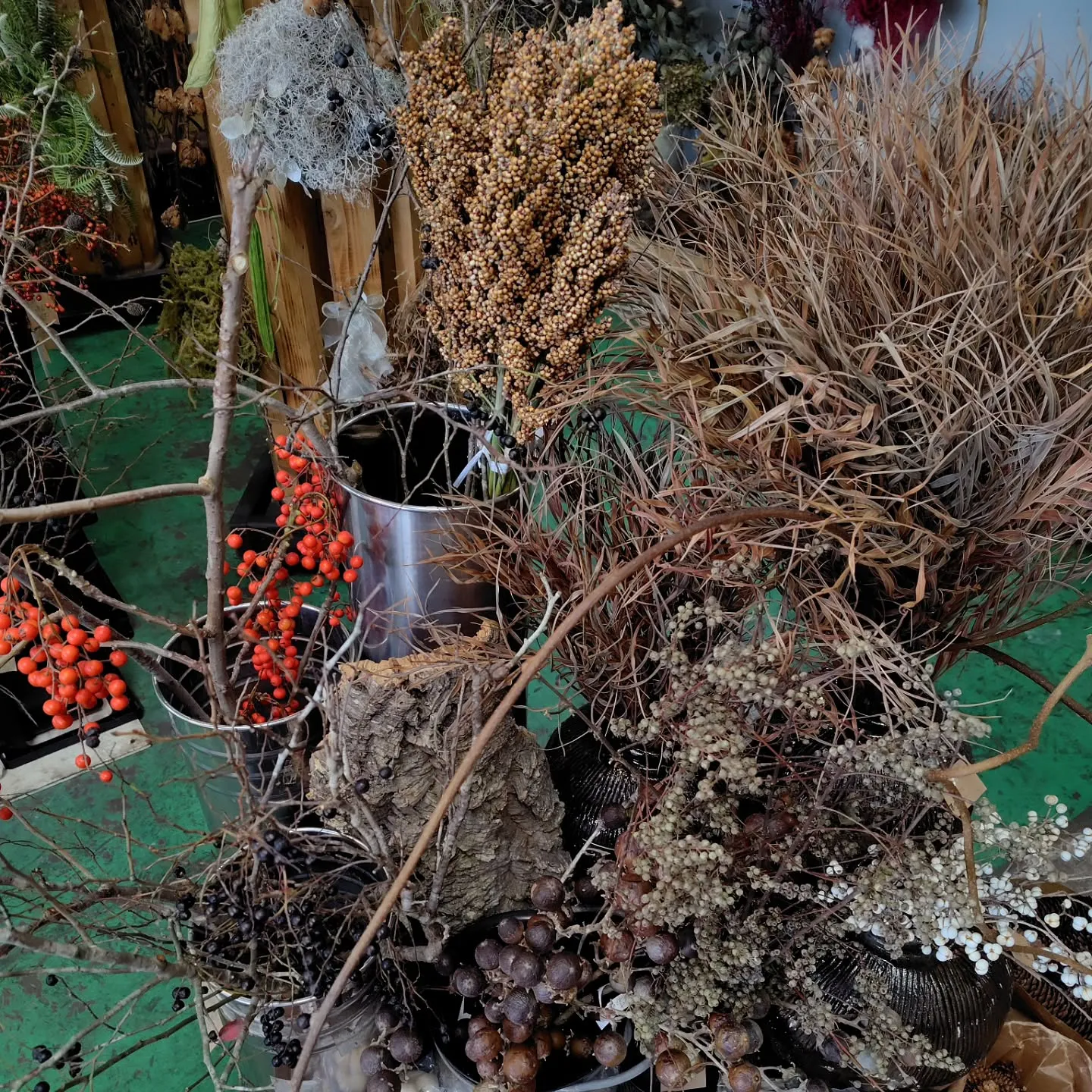 沖縄から色々きてる今日の草🌿