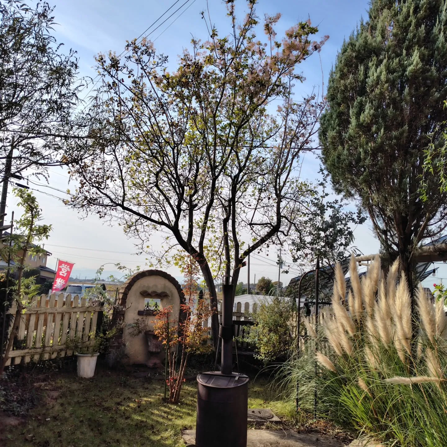 配達いったら素敵なお魚やさん