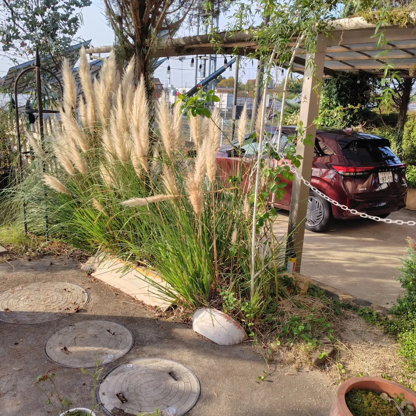 配達いったら素敵なお魚やさん