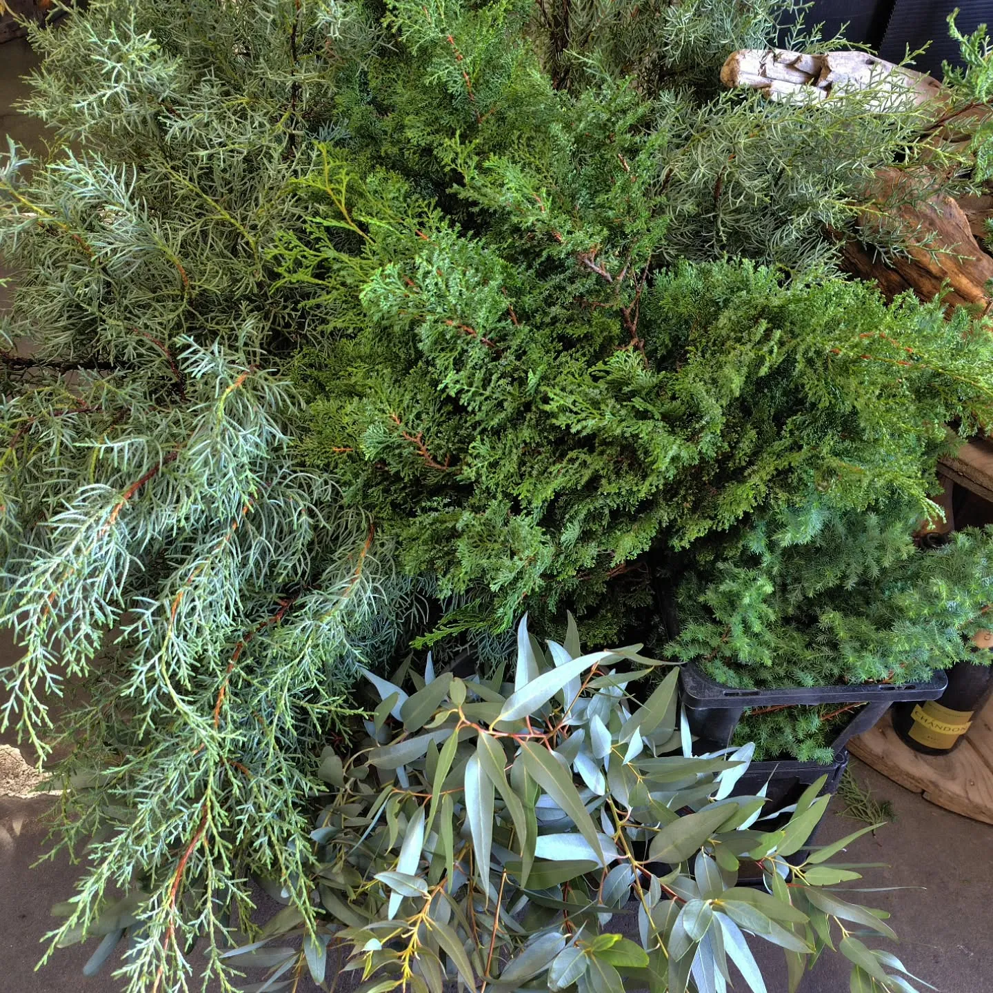 おはようさん🎑