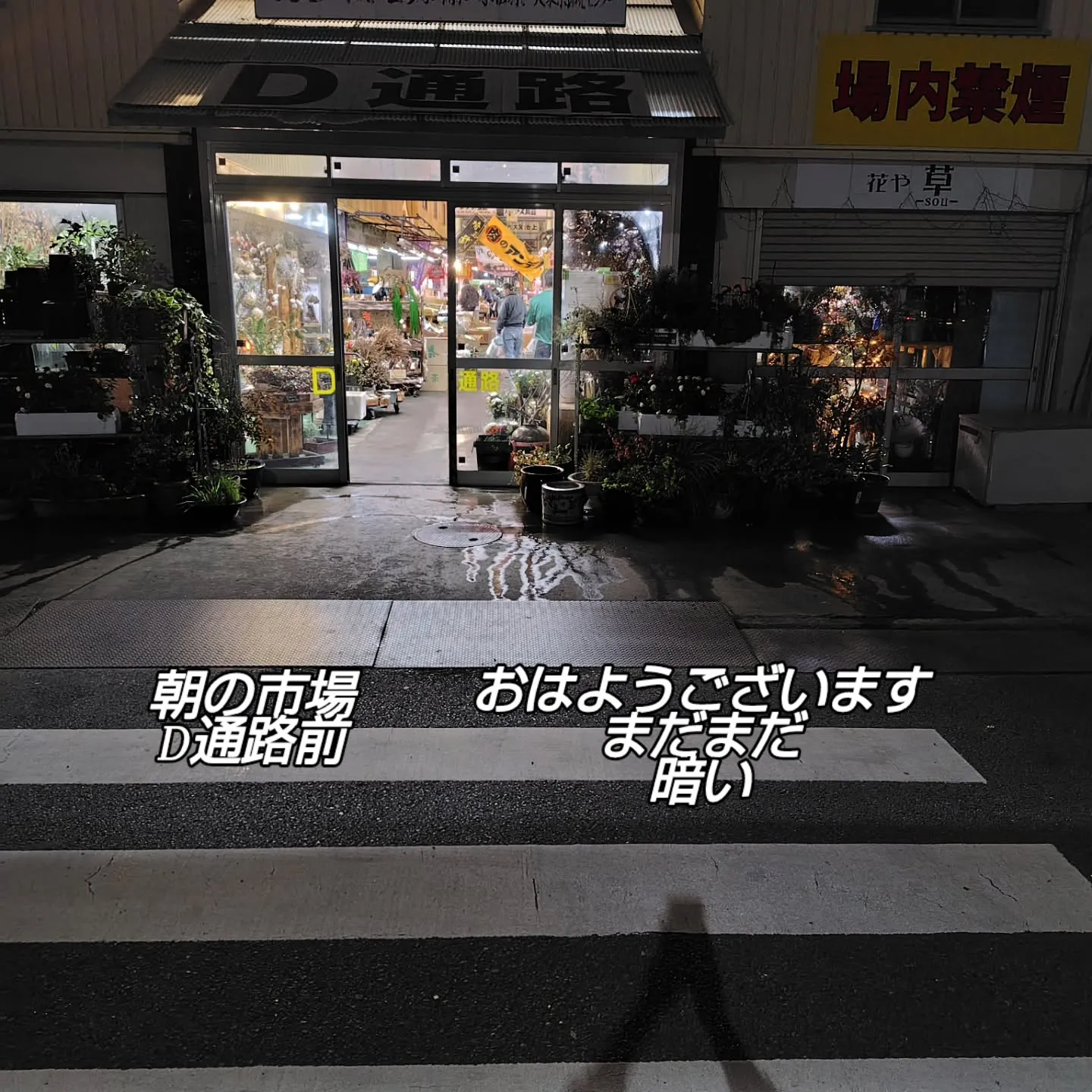 おはようさん🎑