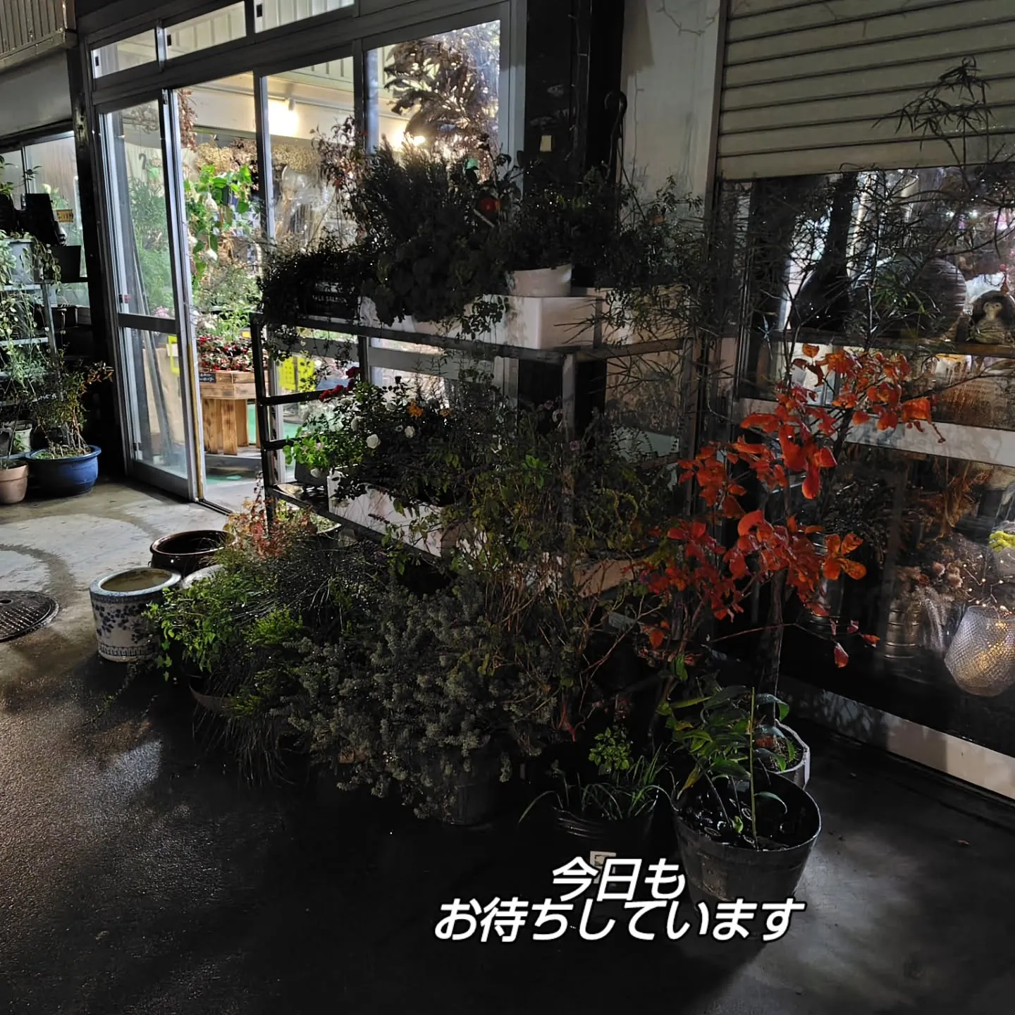 おはようさん🎑