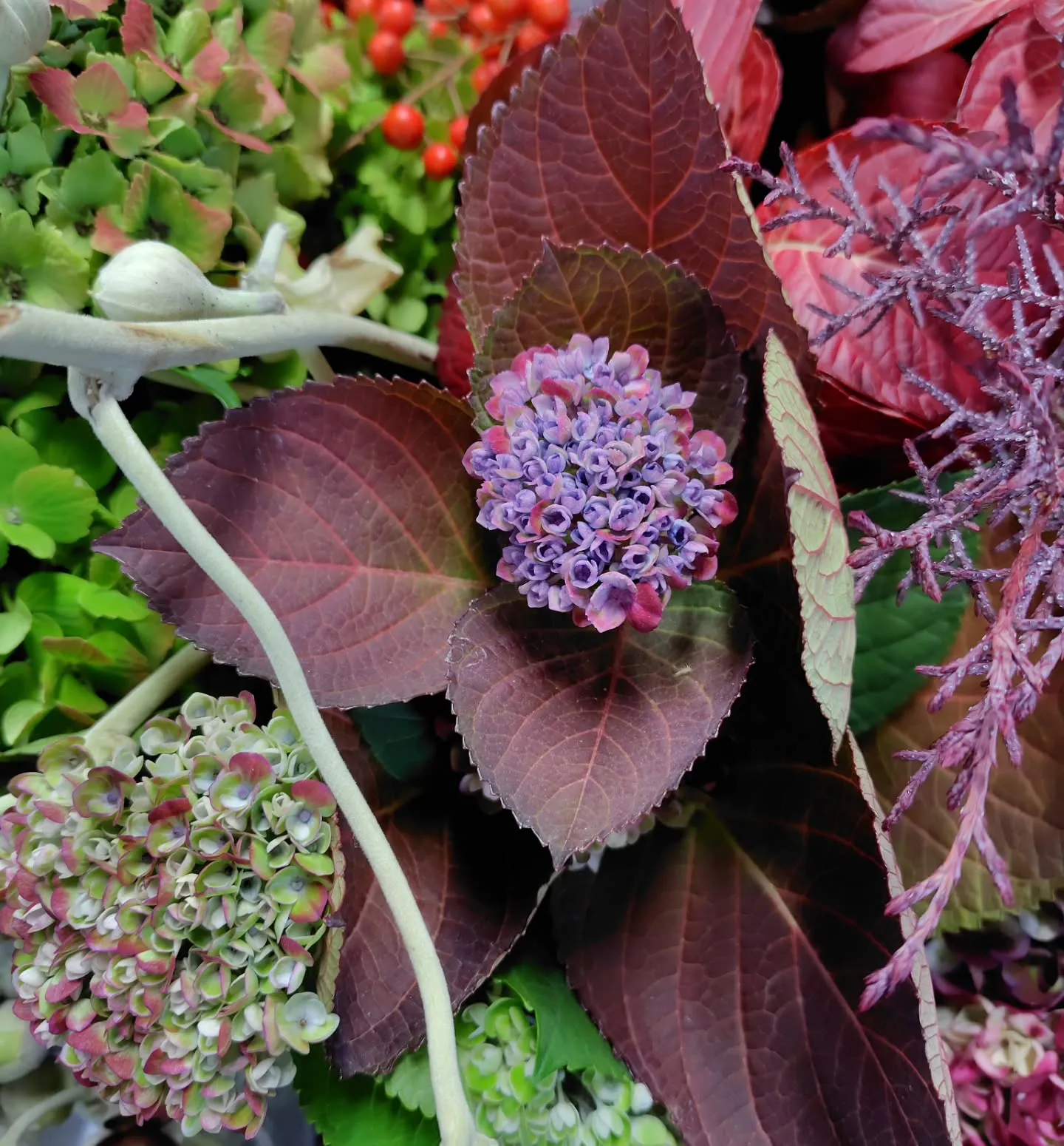 フラッフィーのグリーン