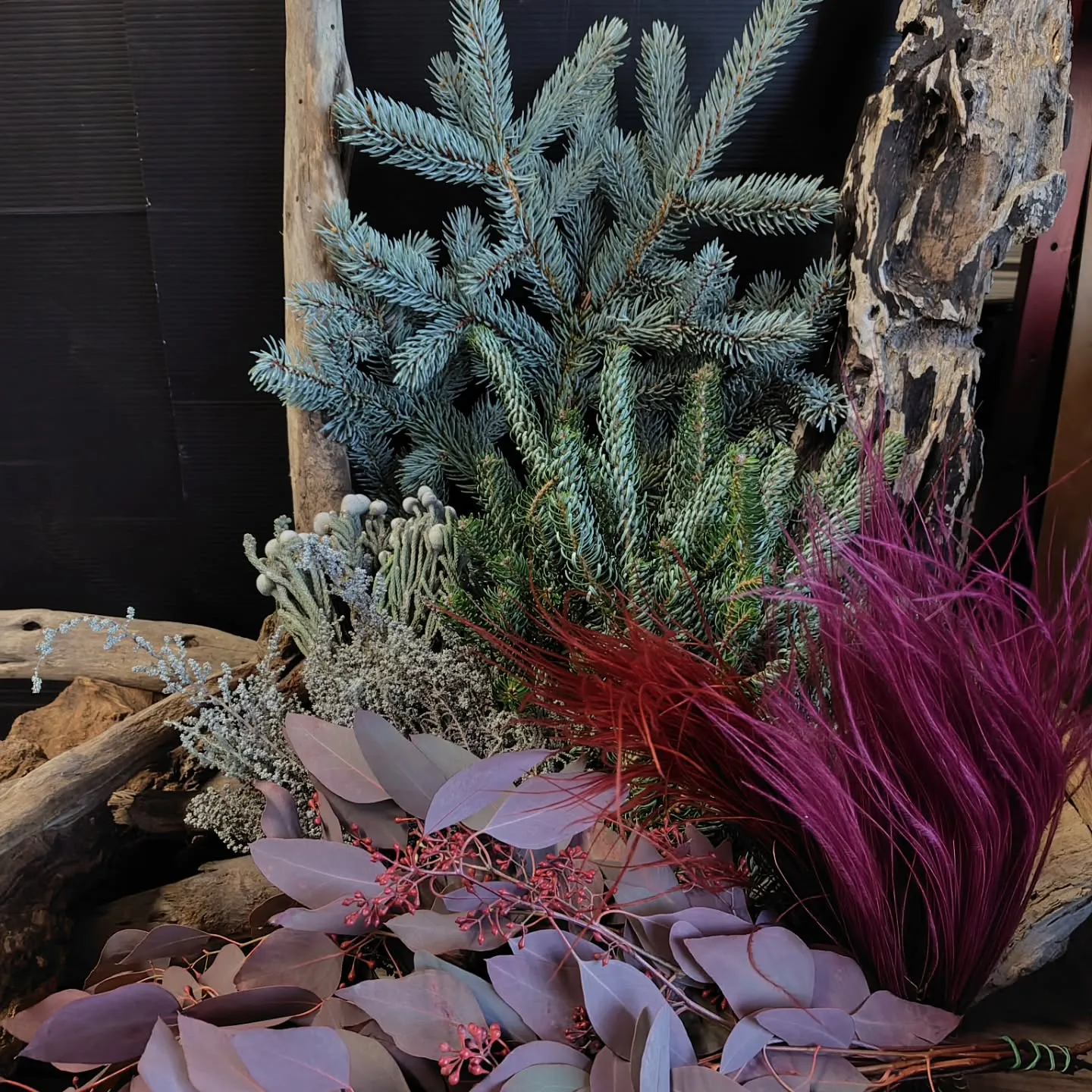 個性溢れる葉っぱ達