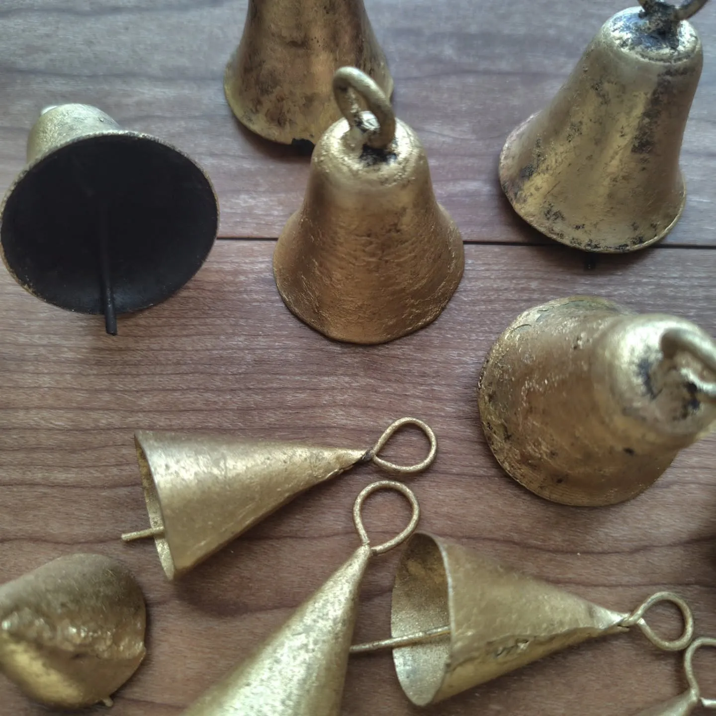 個性溢れる葉っぱ達