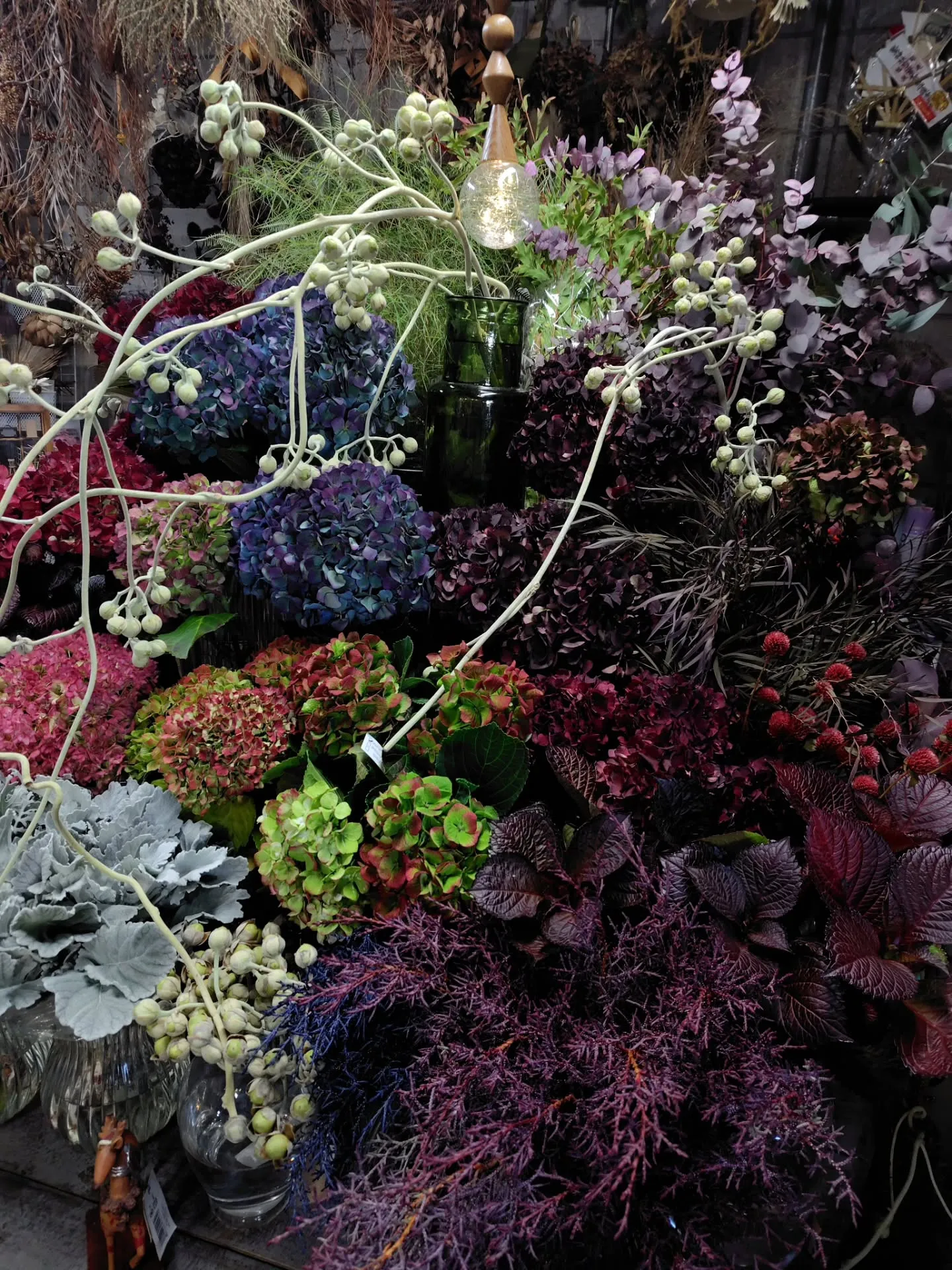 ウラジロアサガオ