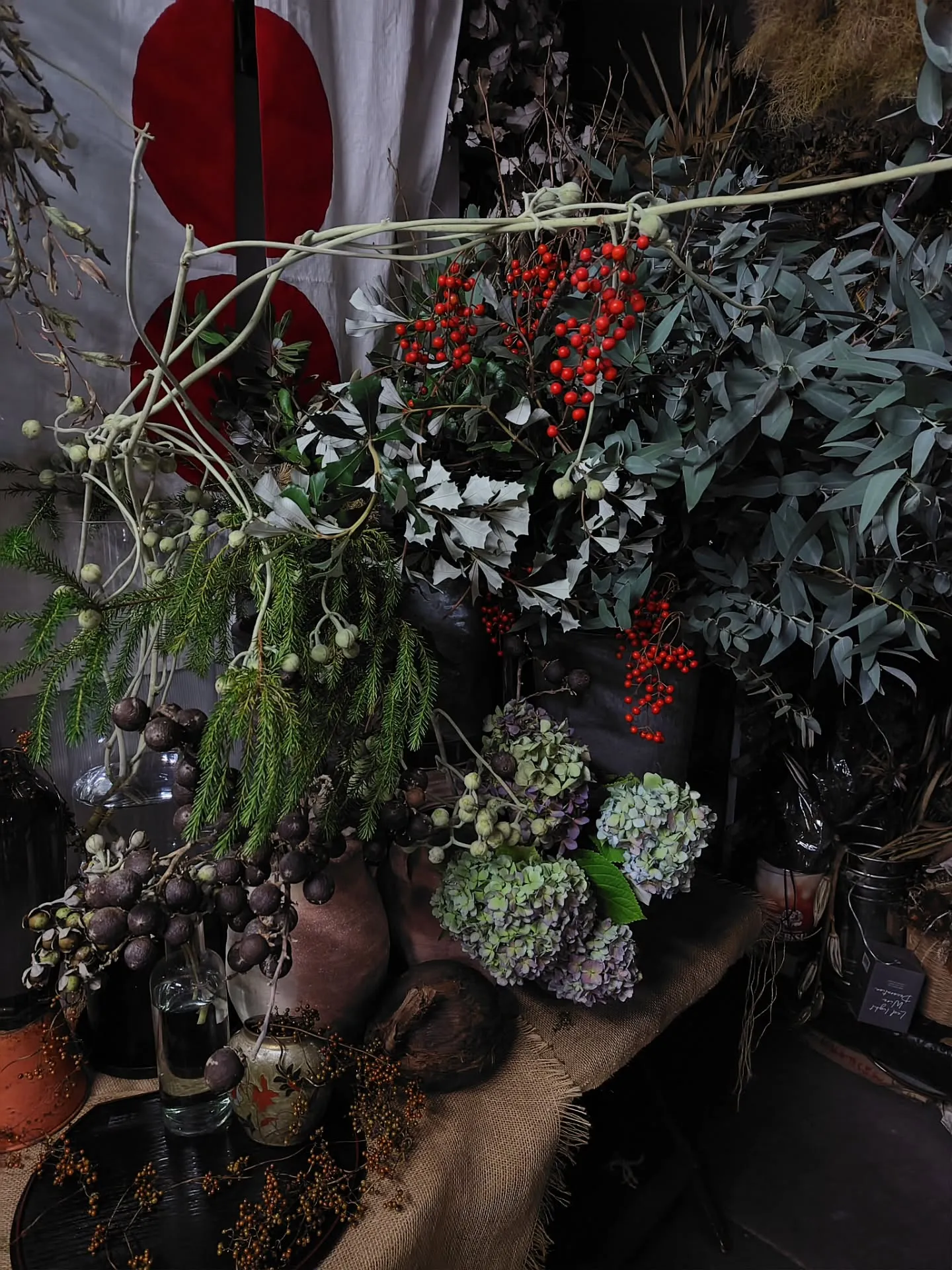 ウラジロアサガオ