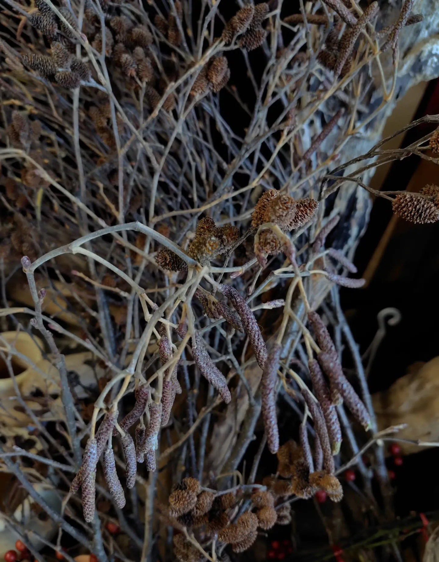 おはようさん🌞