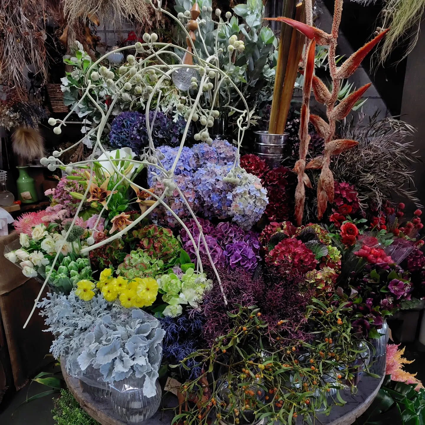 ヤドリギ　　ちゃっこい子