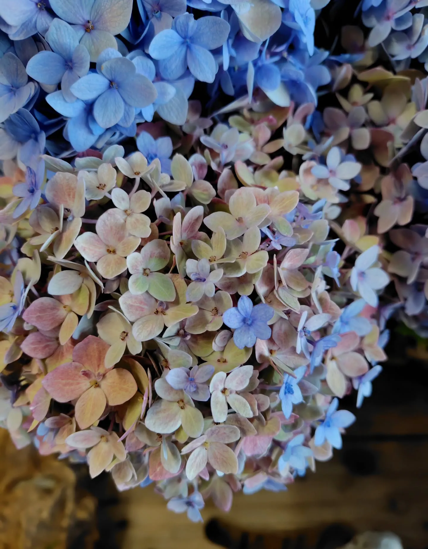 色に引き寄せられた