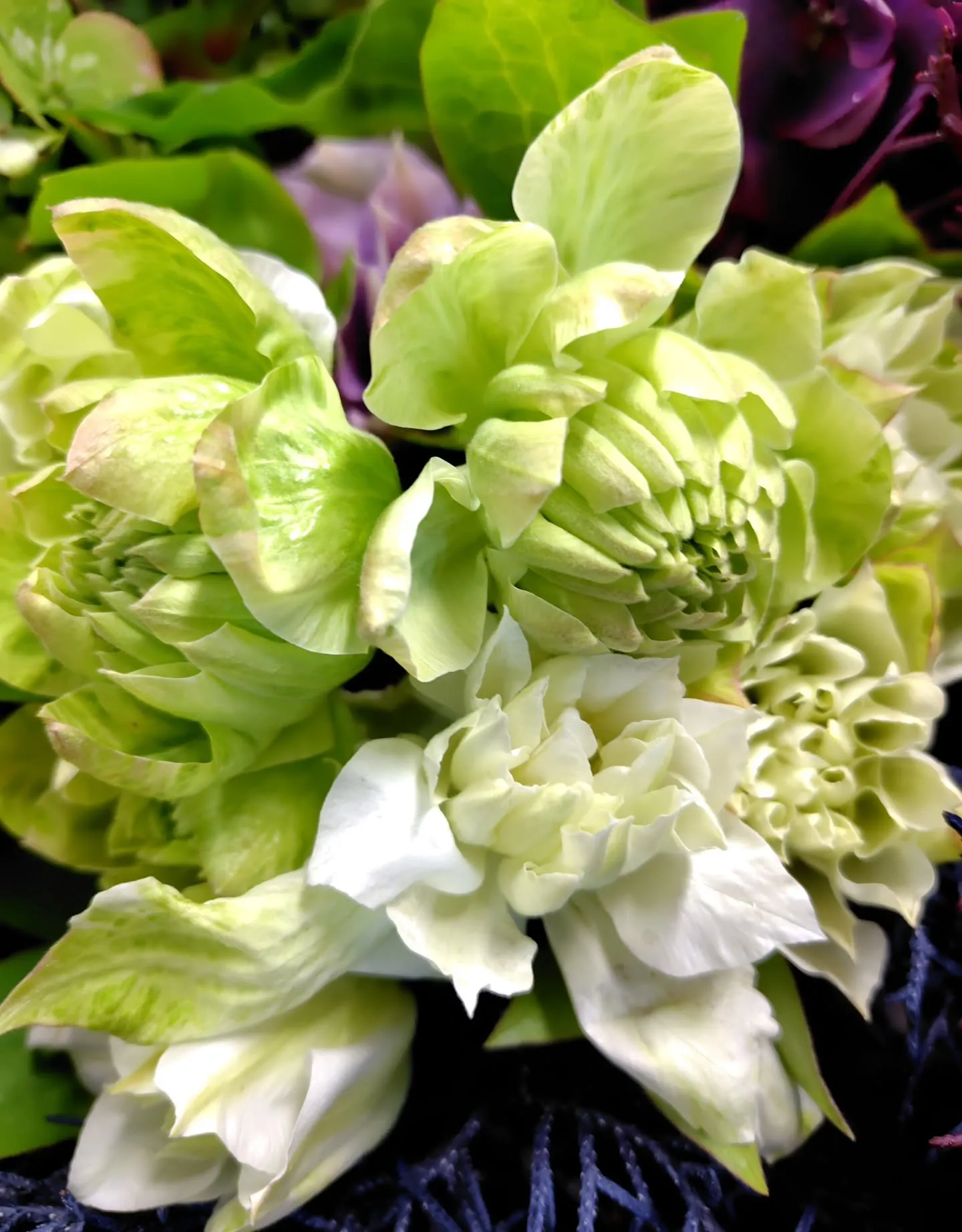 色に引き寄せられた