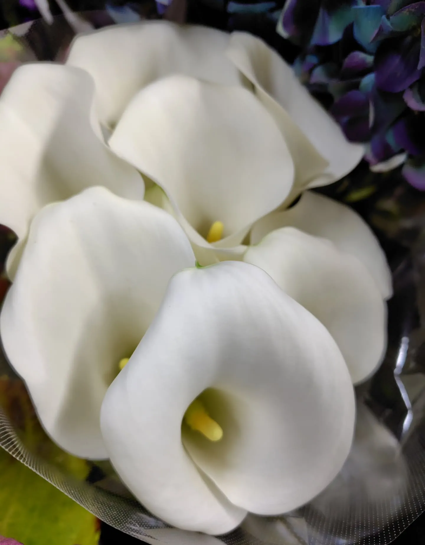 色に引き寄せられた