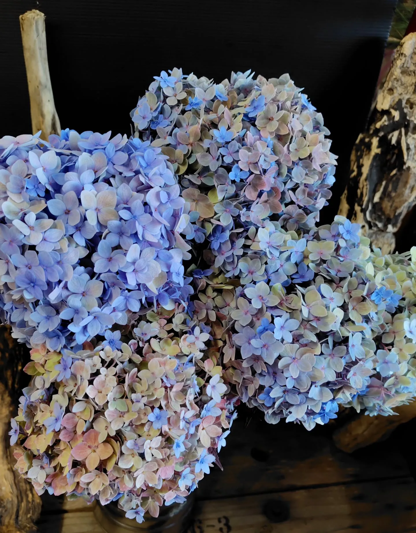 色に引き寄せられた