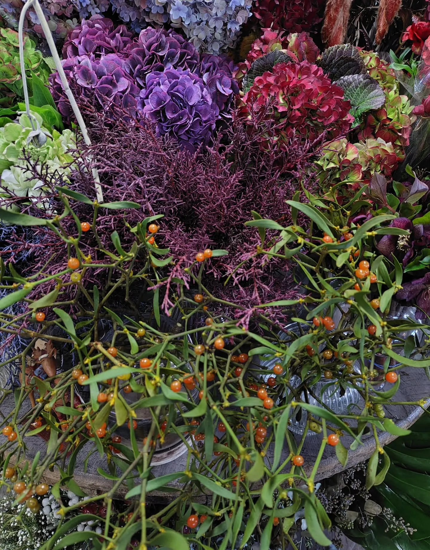 色に引き寄せられた