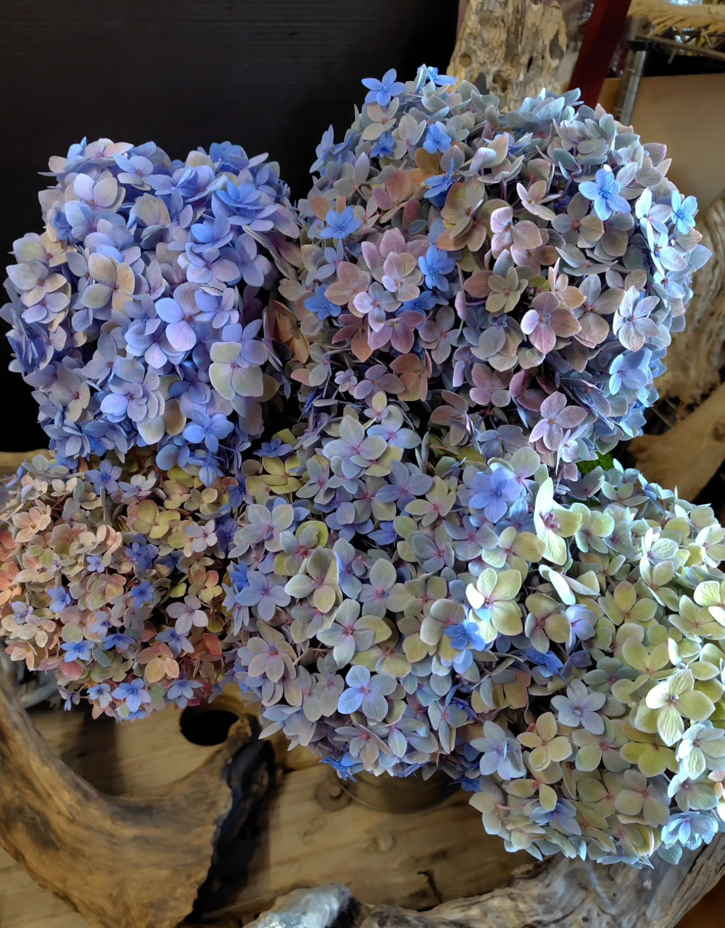 色に引き寄せられた