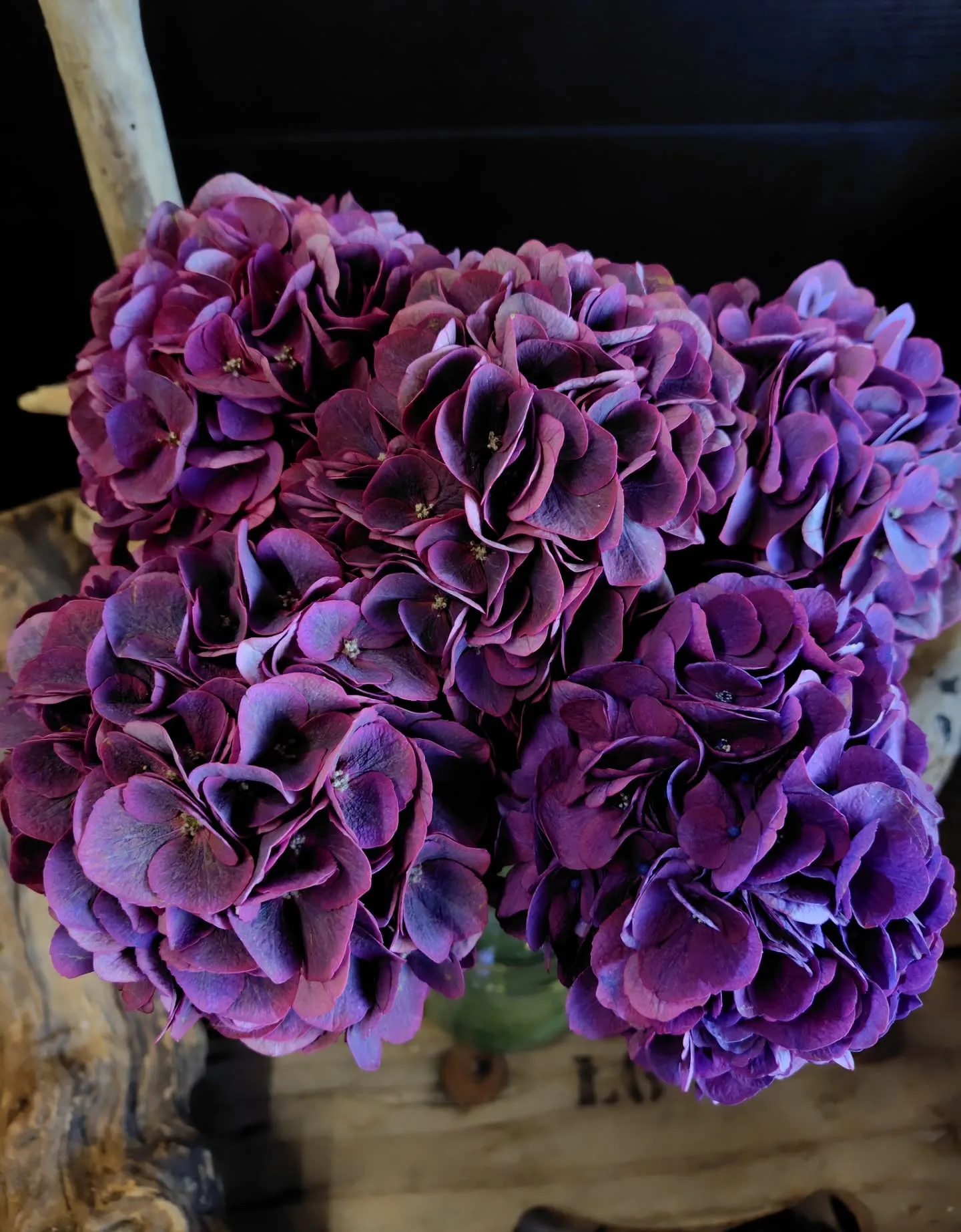 色に引き寄せられた