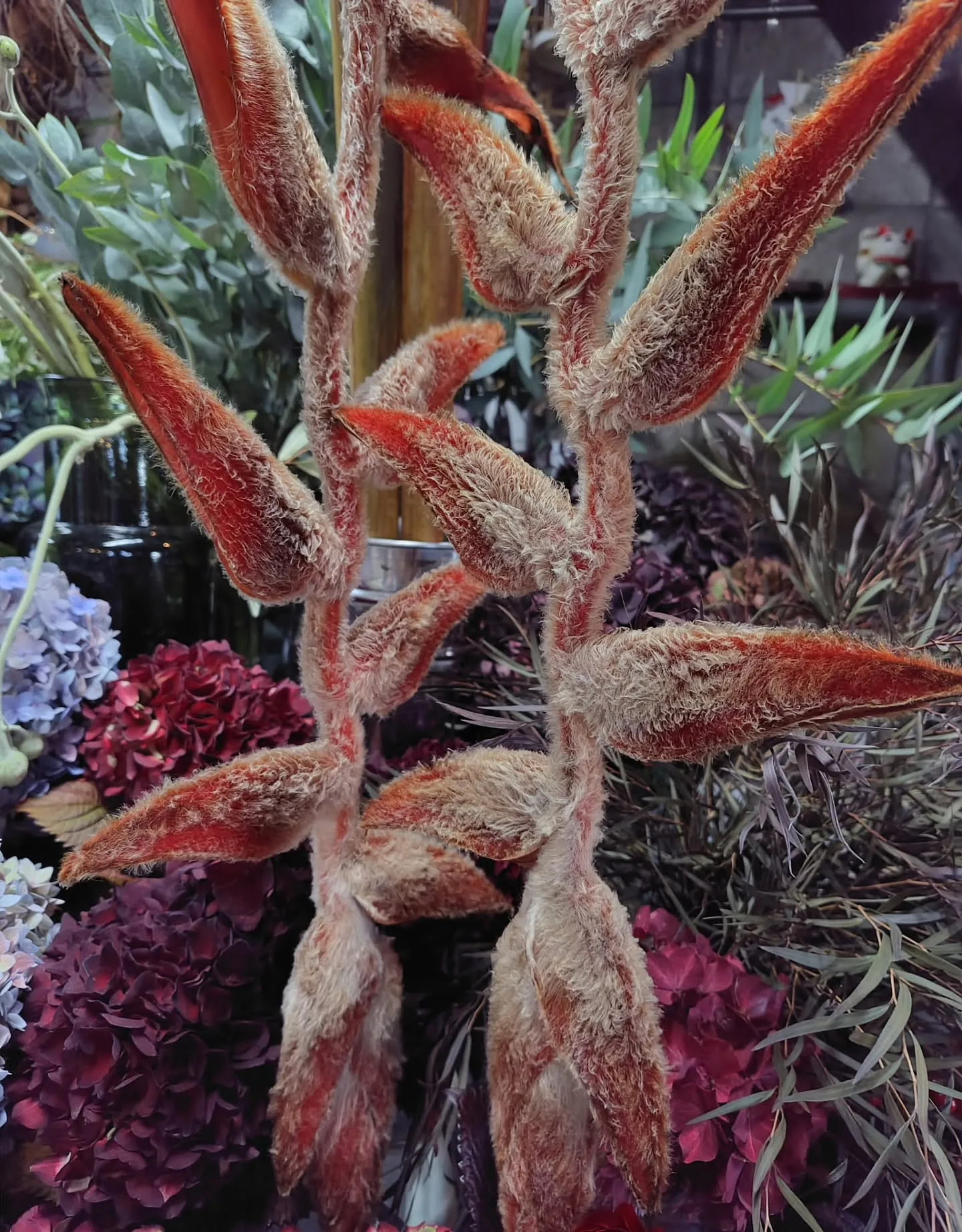 色に引き寄せられた