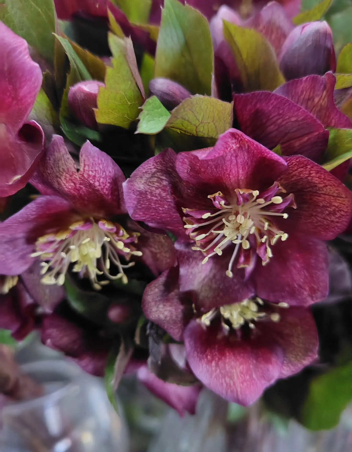 色に引き寄せられた