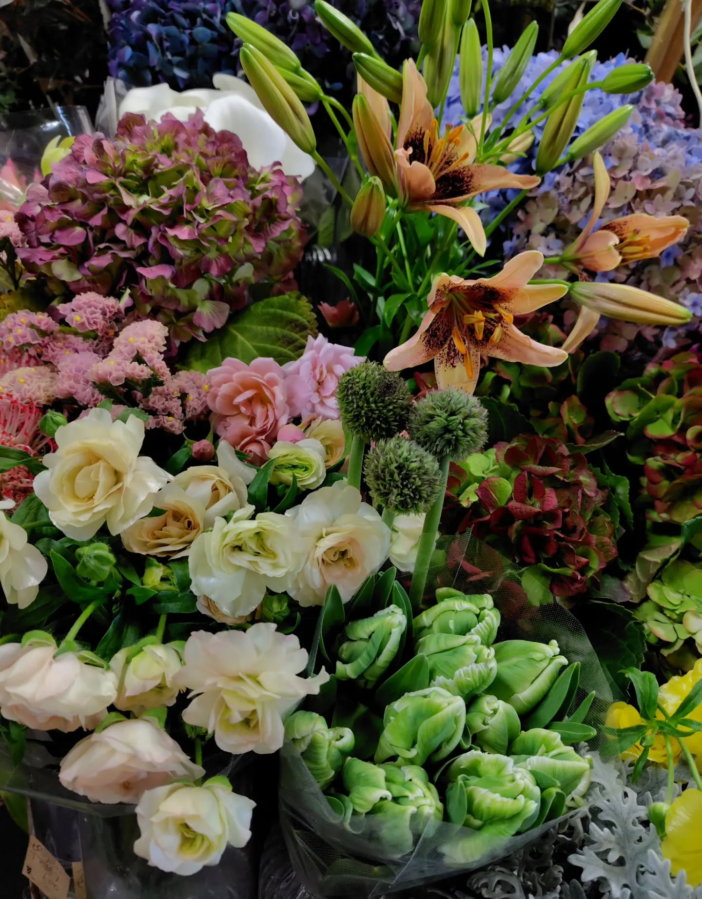 色に引き寄せられた