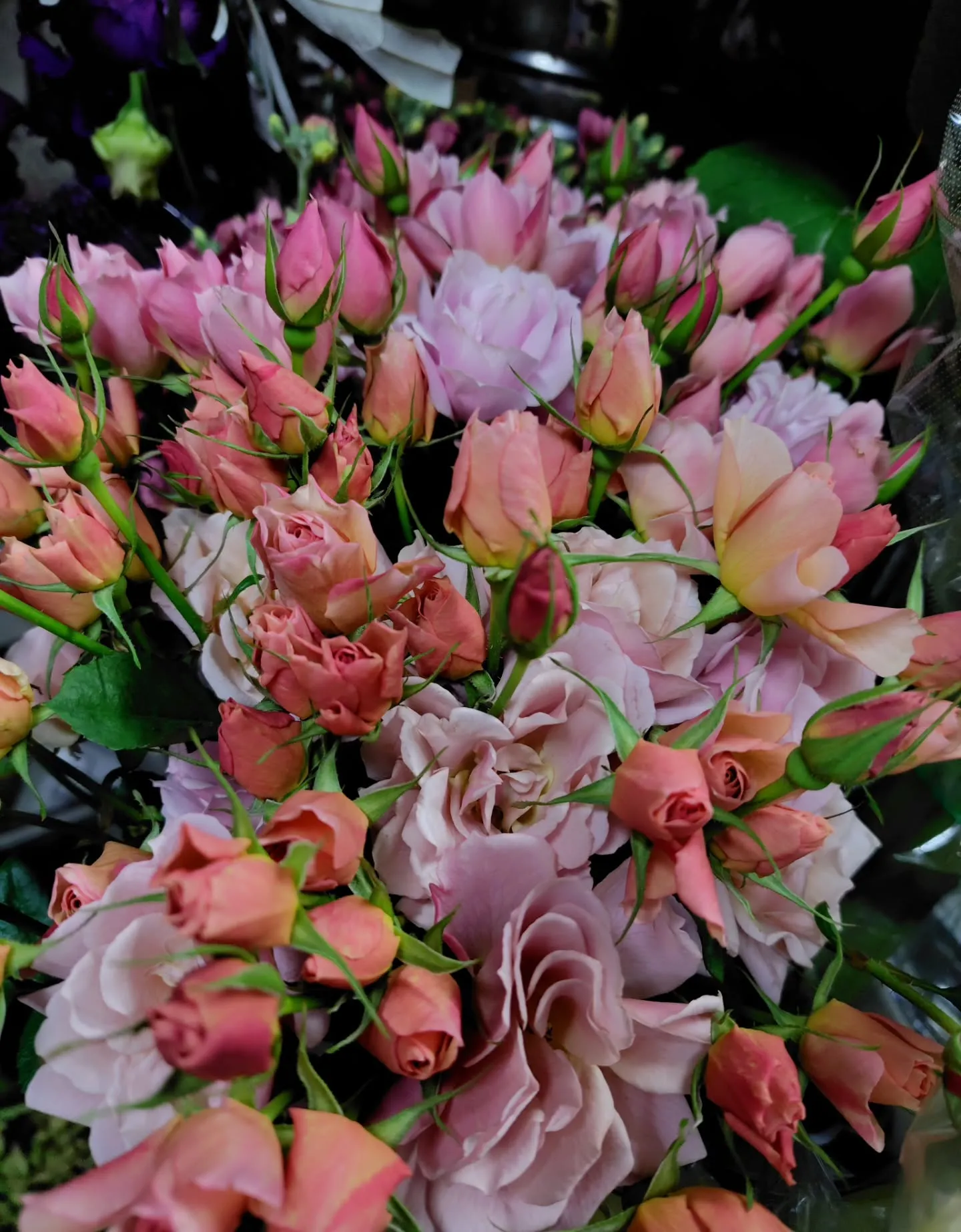 色に引き寄せられた