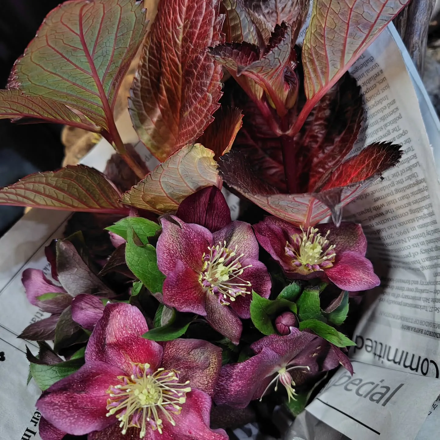 土曜日のあさイチは6時だい