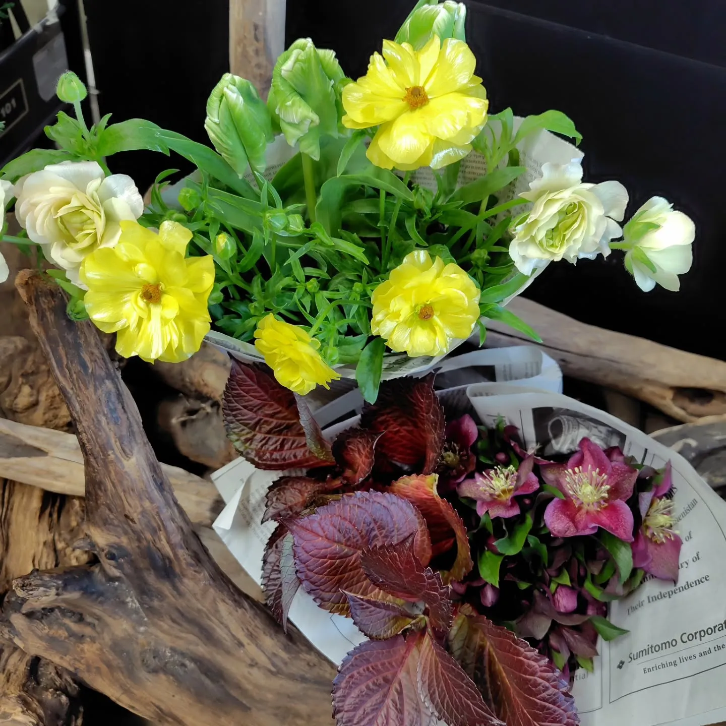 土曜日のあさイチは6時だい