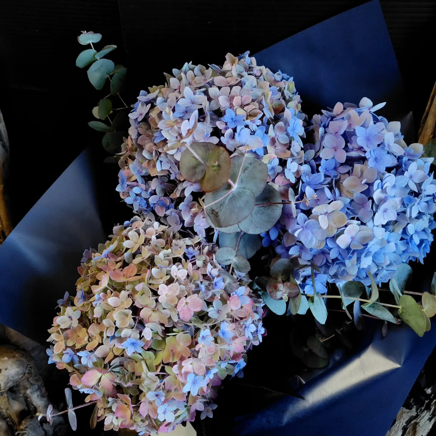 仲良しファミリー