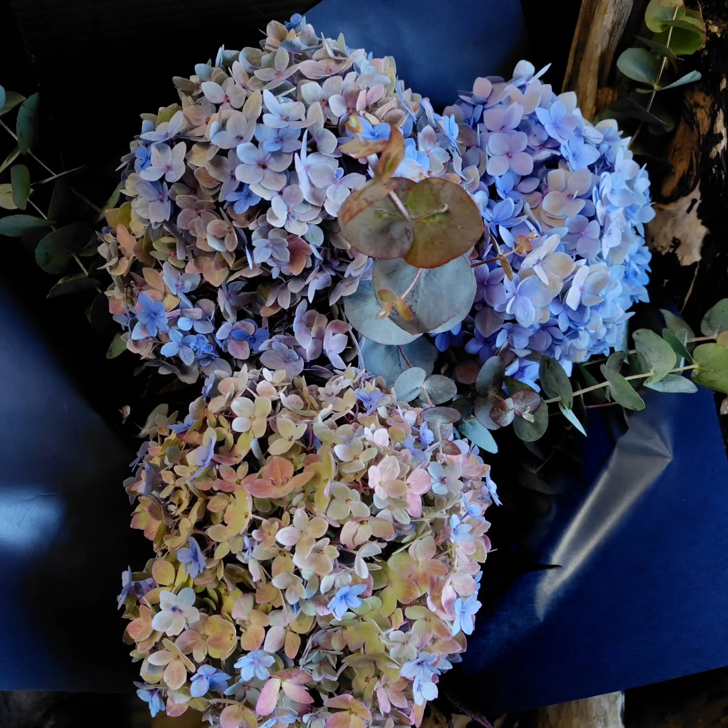 仲良しファミリー