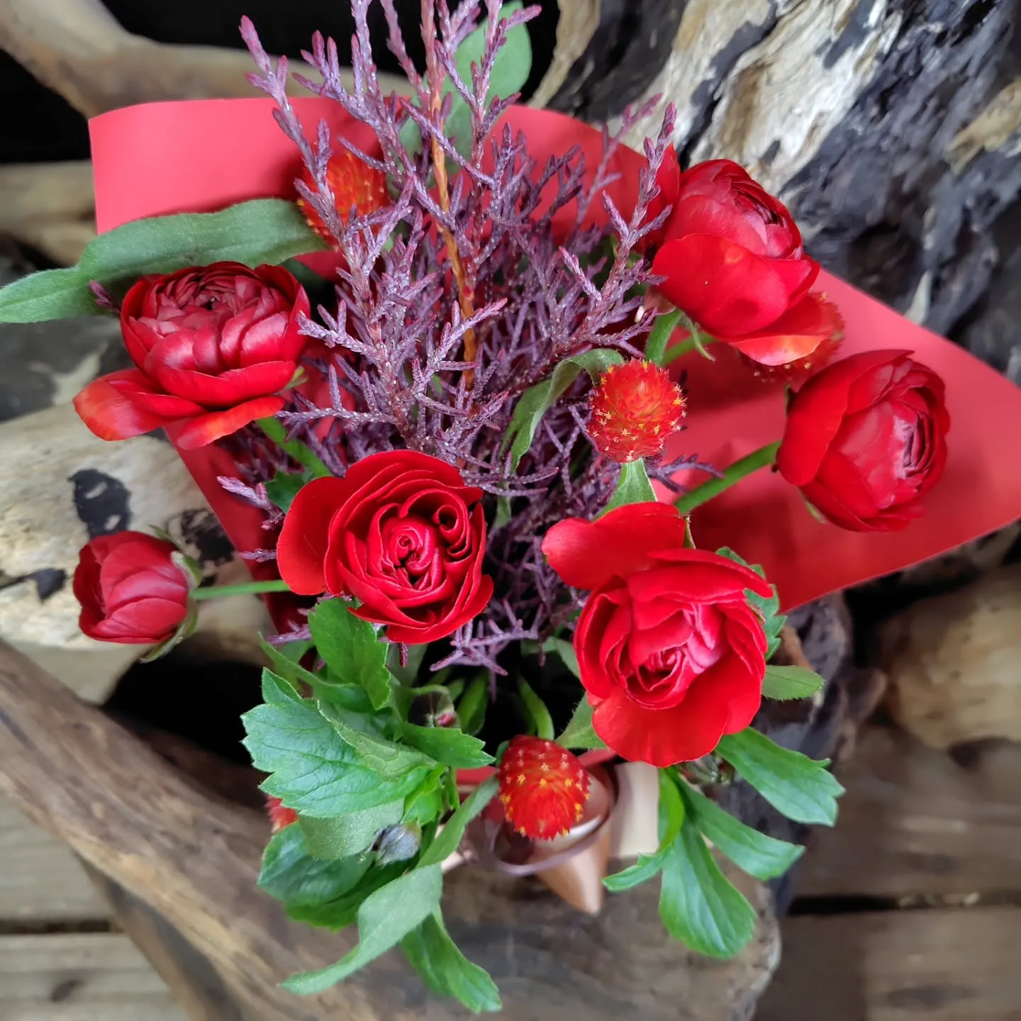 仲良しファミリー