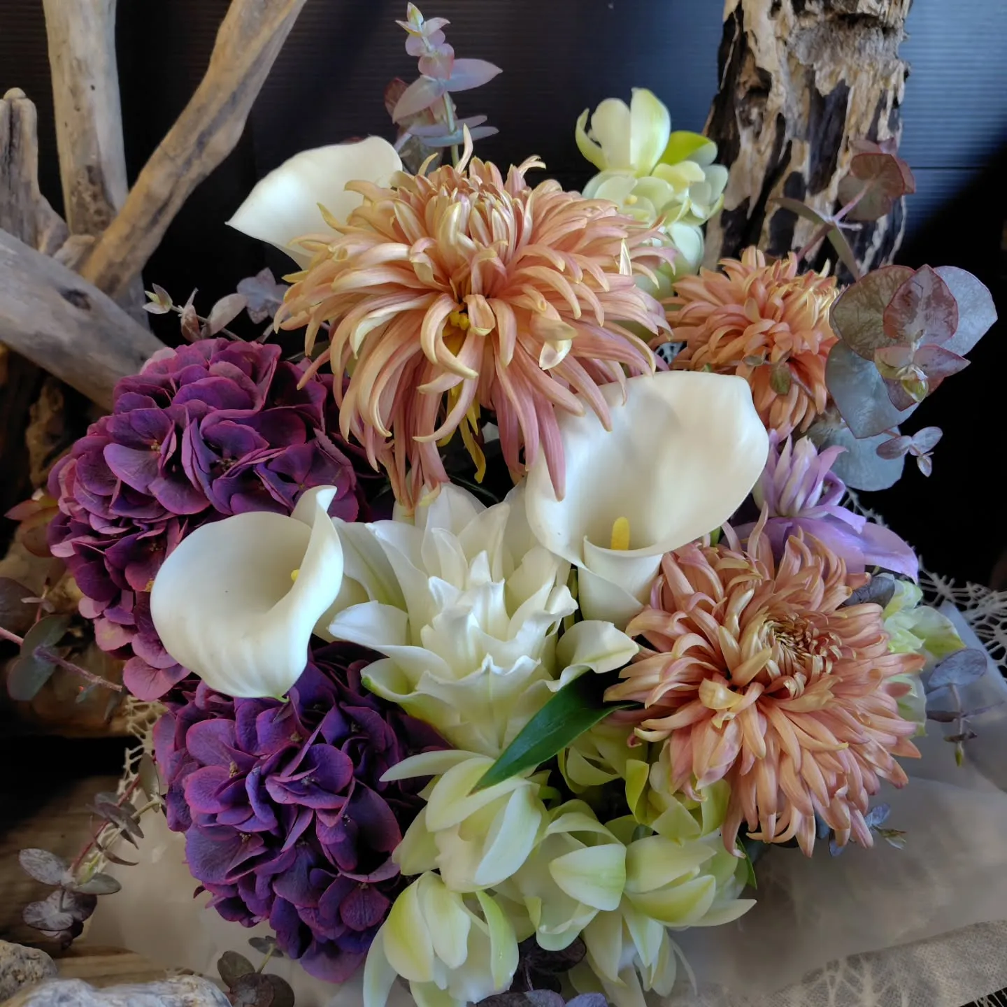 ใใฃใฑใ๐ใใฎๅจ๐ใ ใใญใ