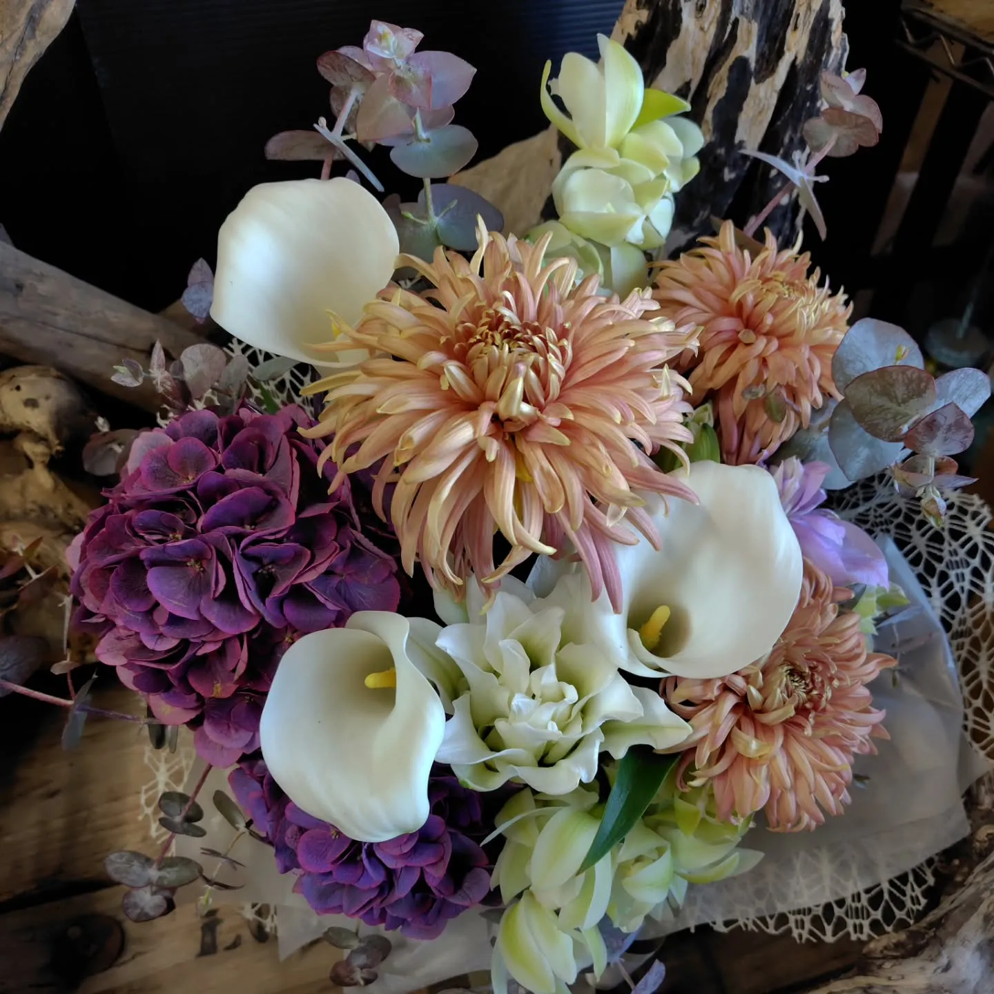 ใใฃใฑใ๐ใใฎๅจ๐ใ ใใญใ