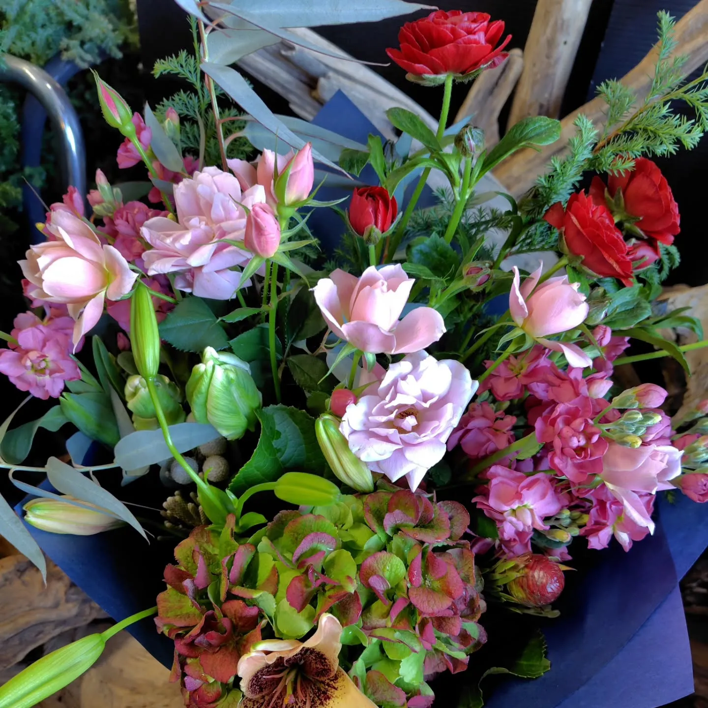 ใใฃใฑใ๐ใใฎๅจ๐ใ ใใญใ