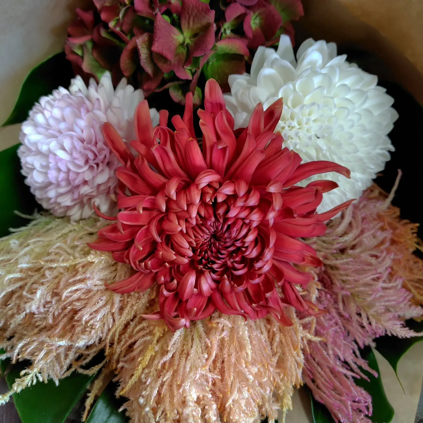 ใใฃใฑใ๐ใใฎๅจ๐ใ ใใญใ