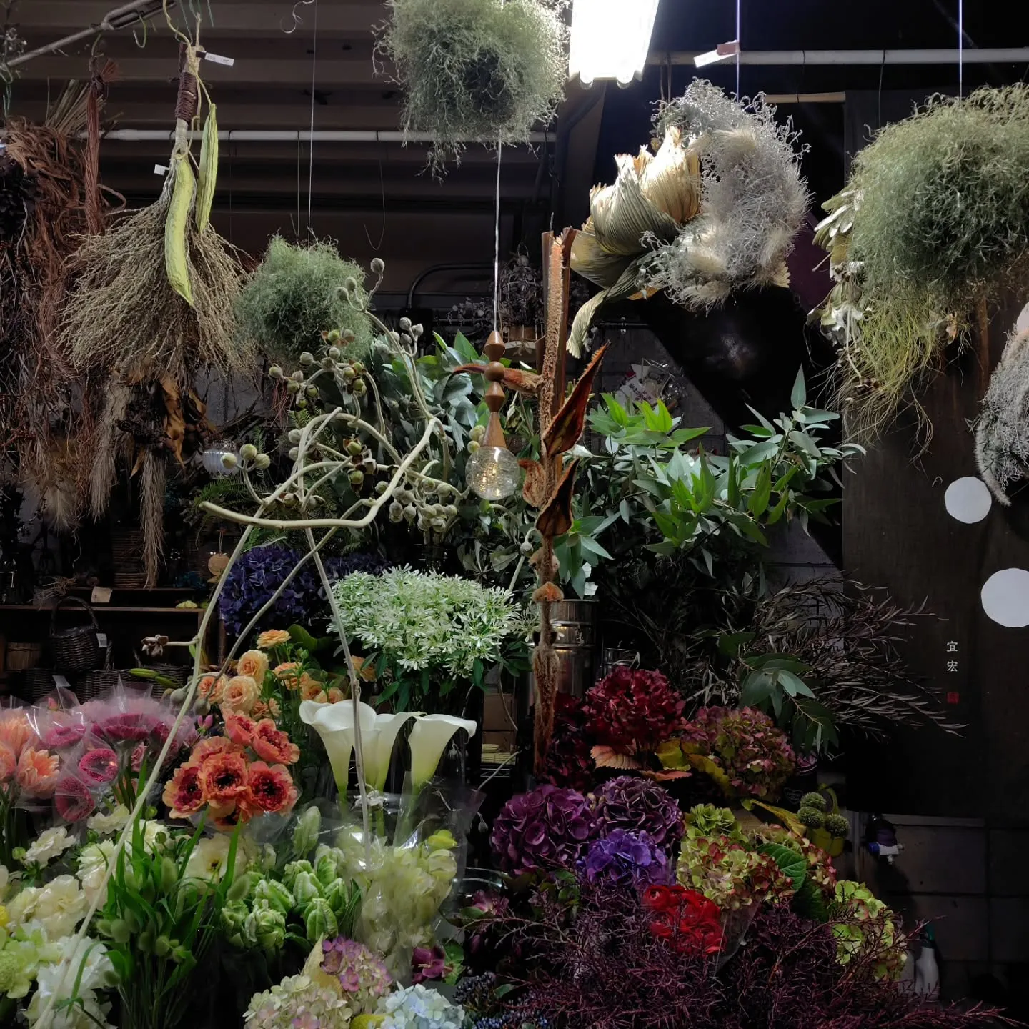 シャルロット　今季初