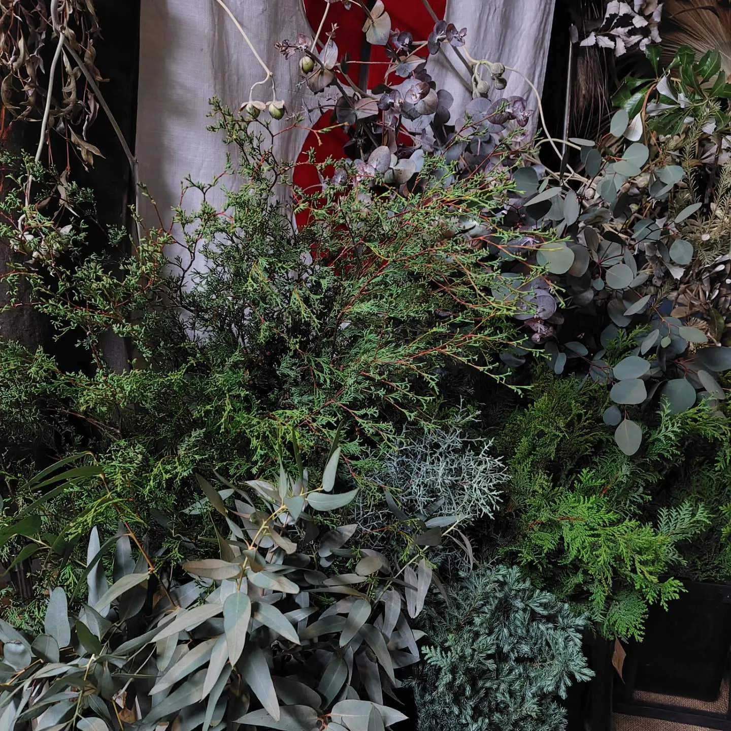 シャルロット　今季初