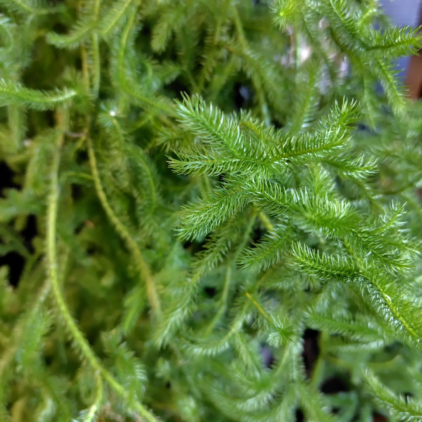 ใใใ๐ซใใใใพใใ