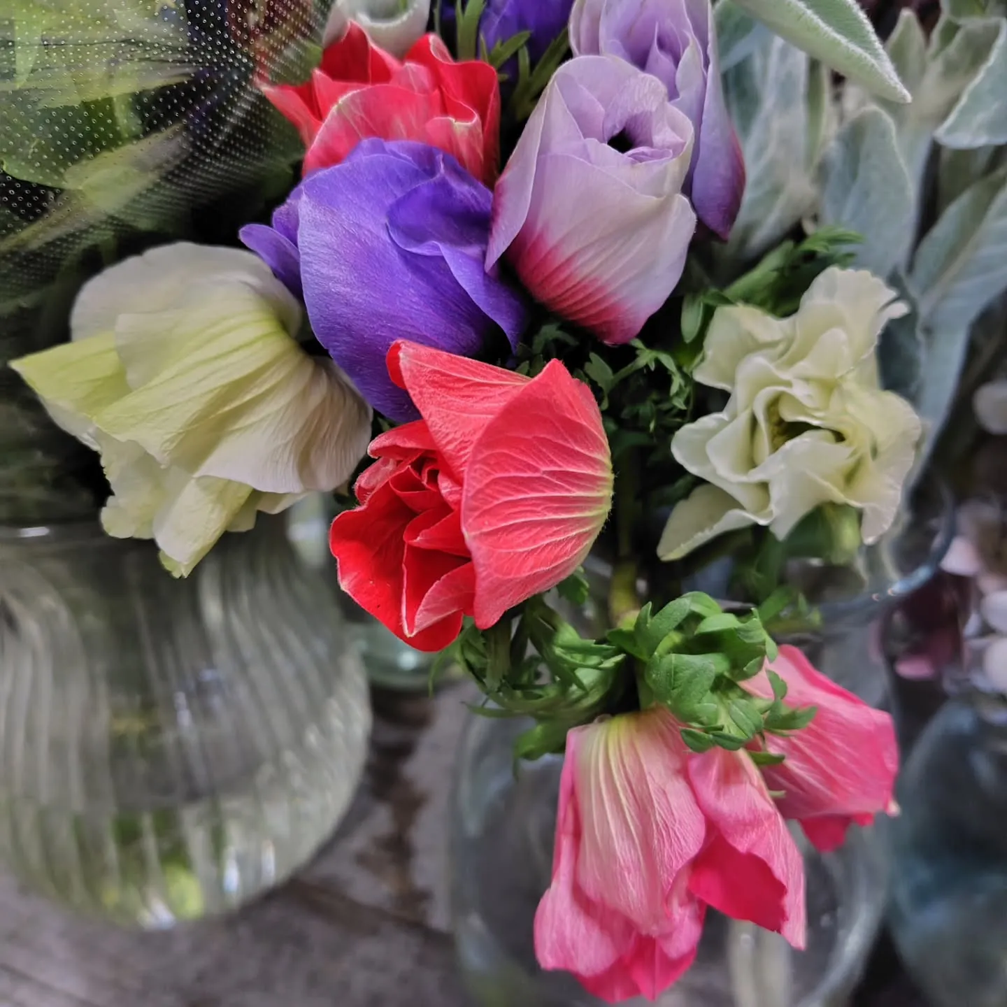 ใใใ๐ซใใใใพใใ