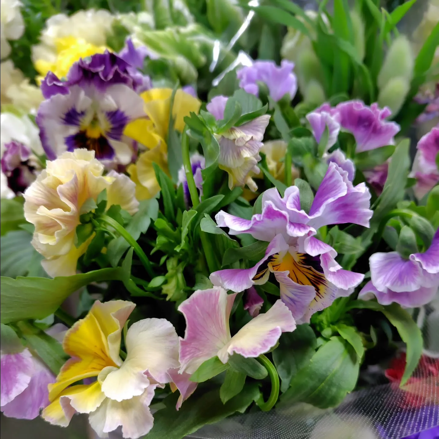 ใใใ๐ซใใใใพใใ