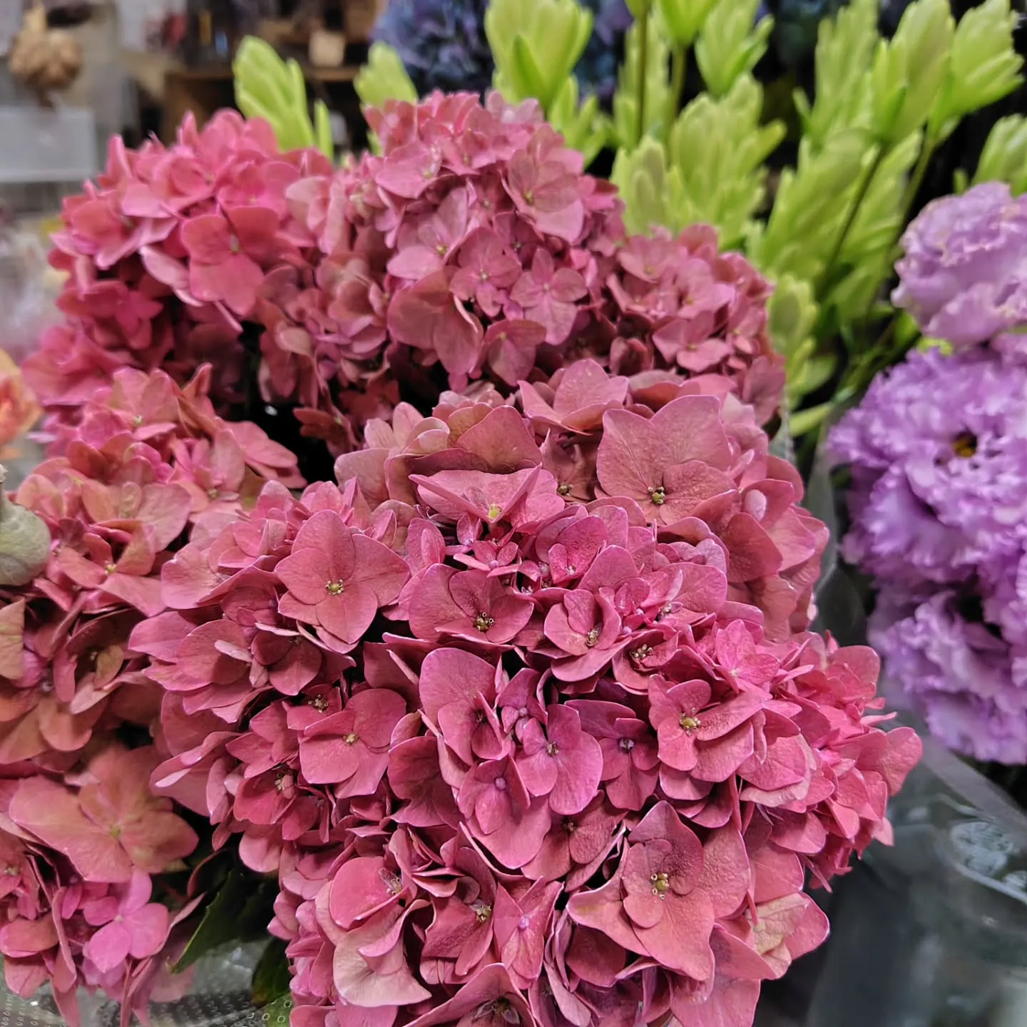 ใใใ๐ซใใใใพใใ