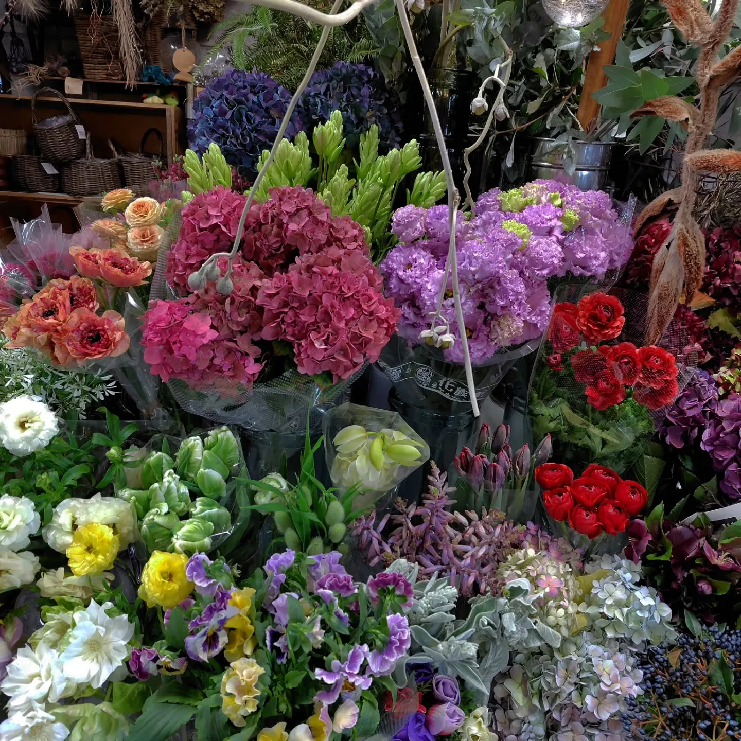 ใใใ๐ซใใใใพใใ