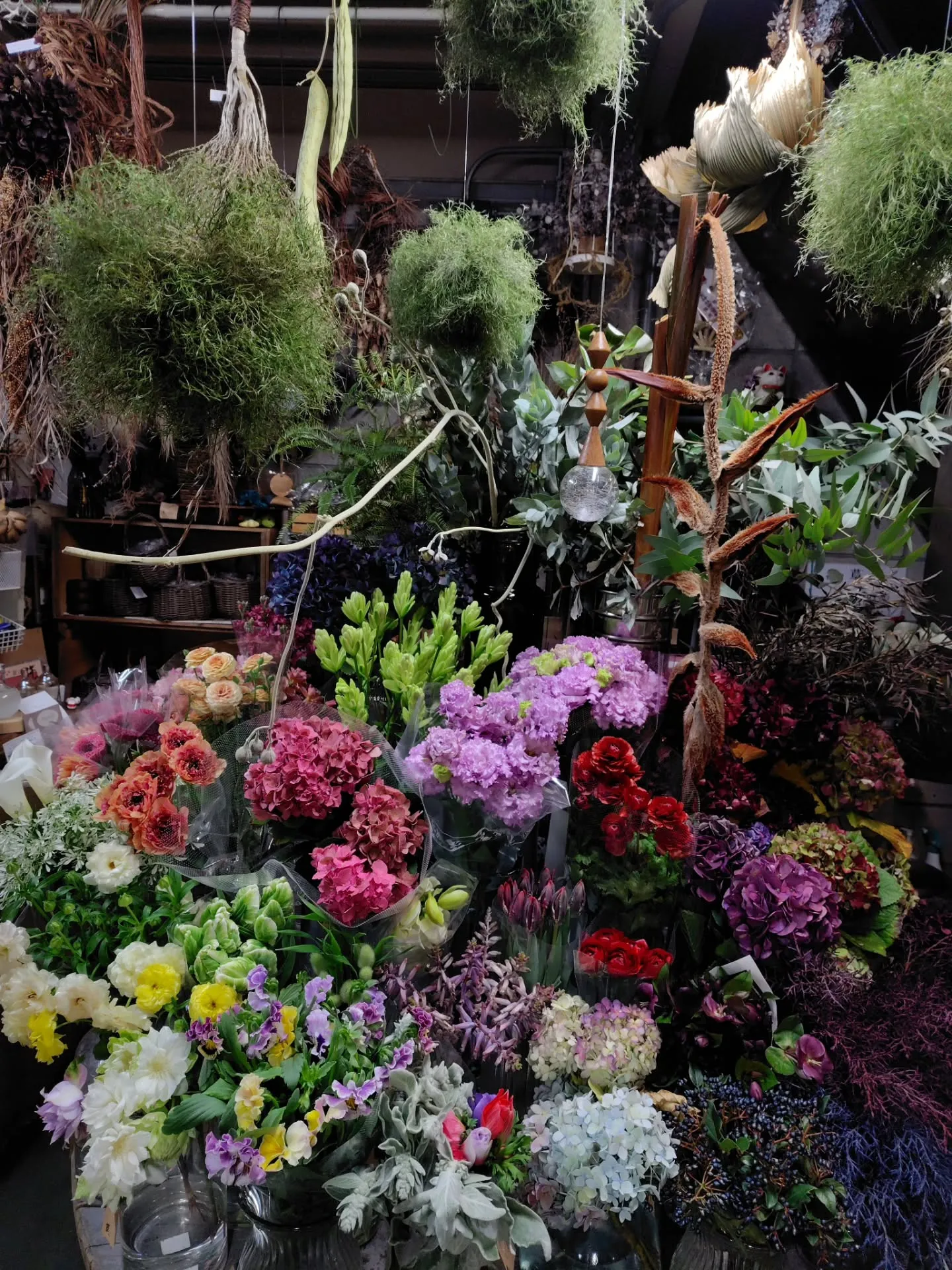 WAKUWAKU探しに〜