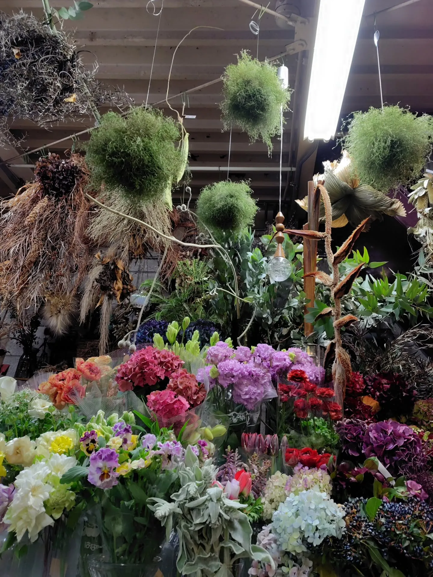 WAKUWAKU探しに〜