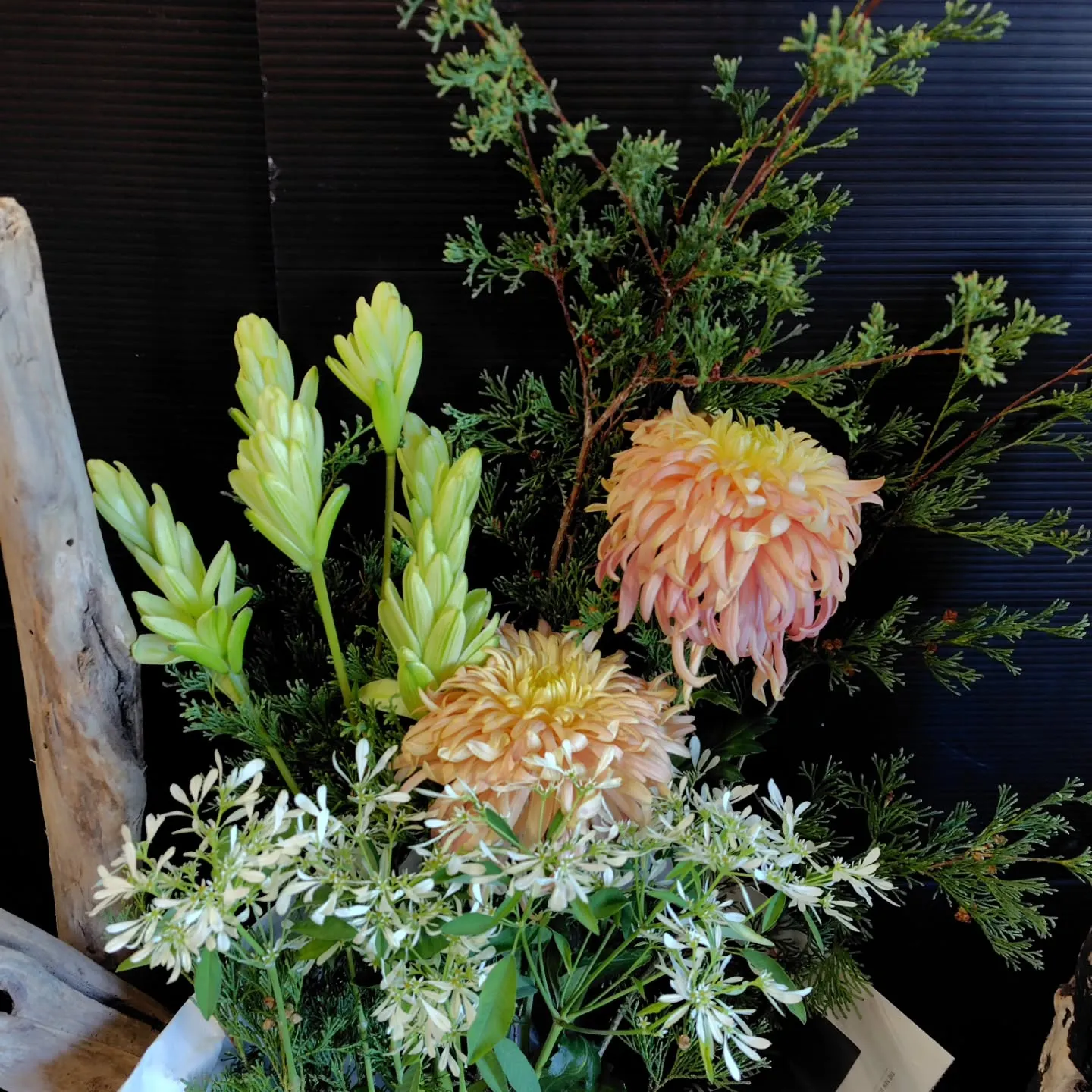 お日様出てきました